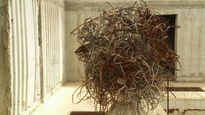 20140531_153928.jpg image