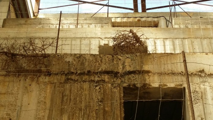 20140531_154756.jpg image