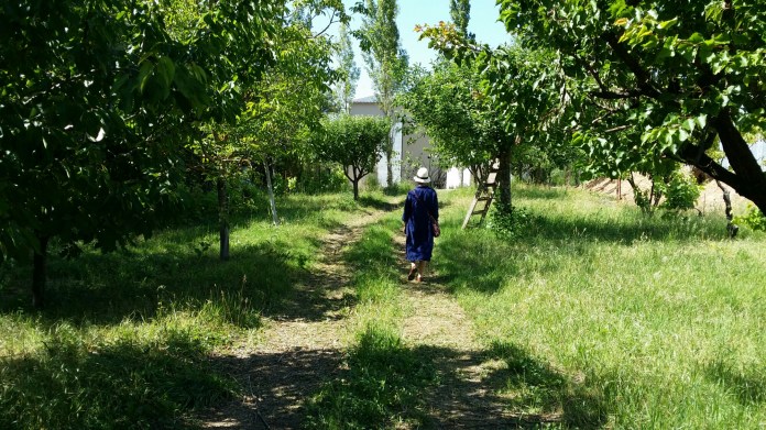 20140531_163533.jpg image