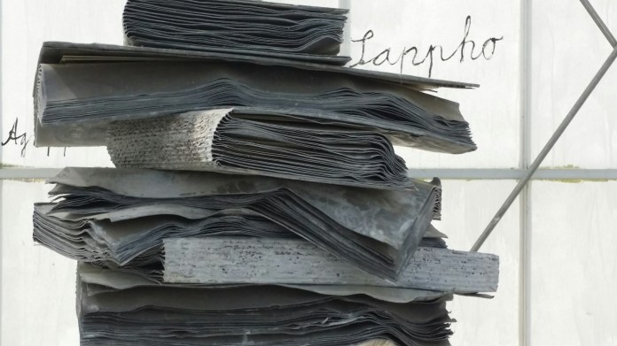 20140531_164926.jpg image