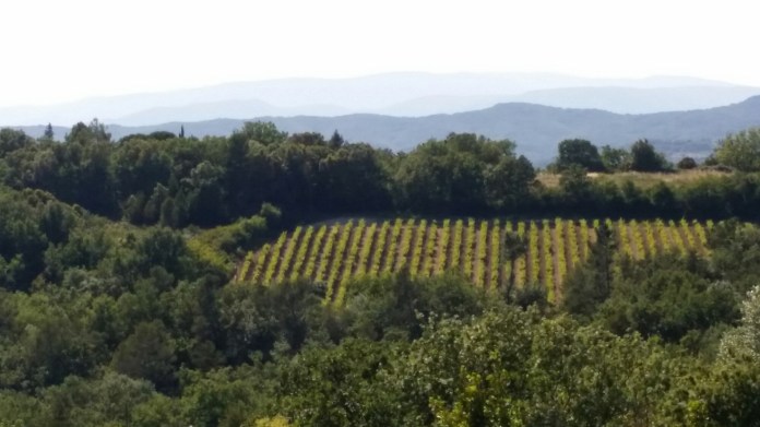 20140531_171610.jpg image