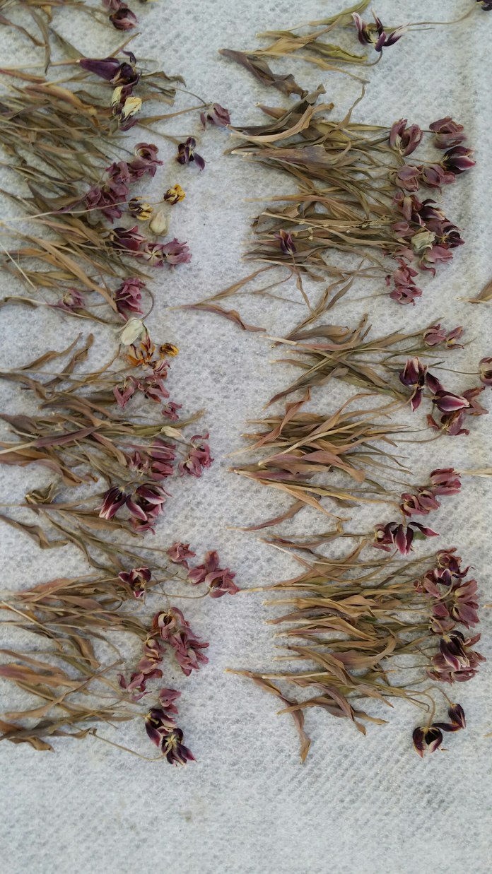 20140531_171818.jpg image