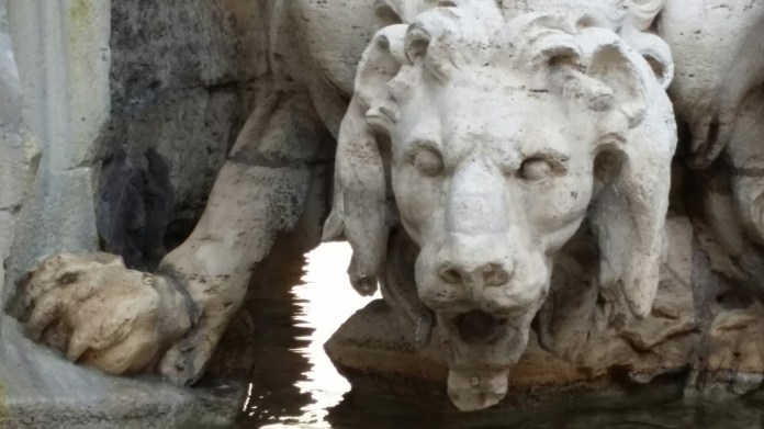 20140612_081503.jpg image