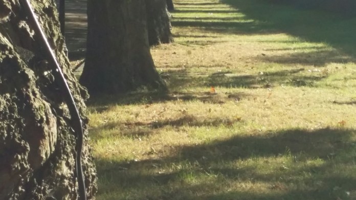 20140627_183705.jpg image