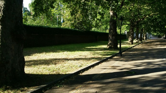 20140627_183853.jpg image