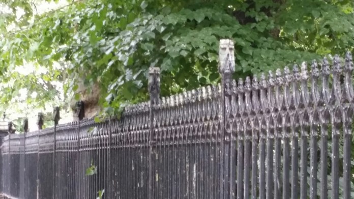 20140628_101935.jpg image