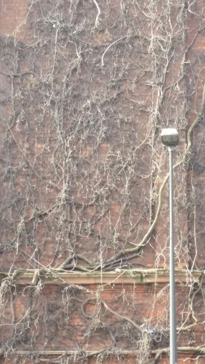 20140629_090052.jpg image