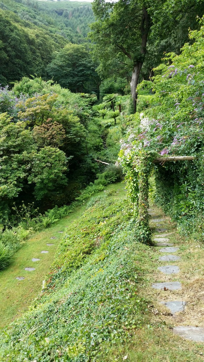 20140713_094336.jpg image