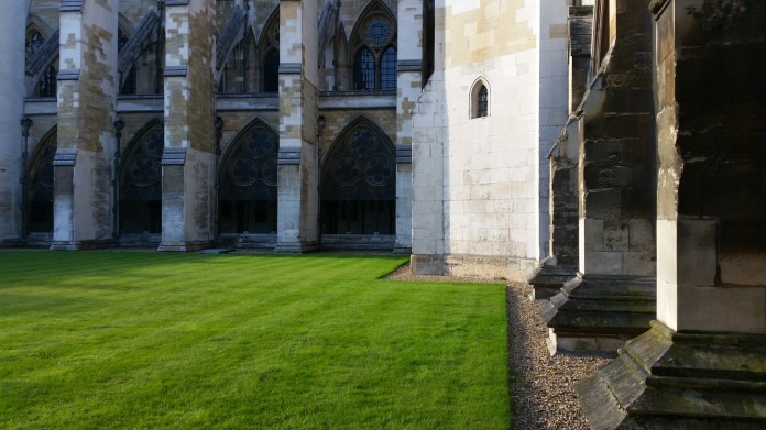 20140714_190550.jpg image