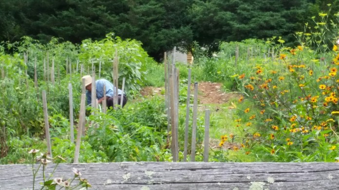 20140727_110113.jpg image