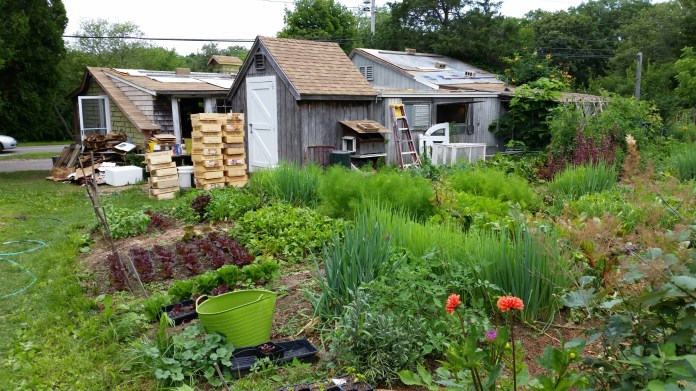 20140727_111243.jpg image