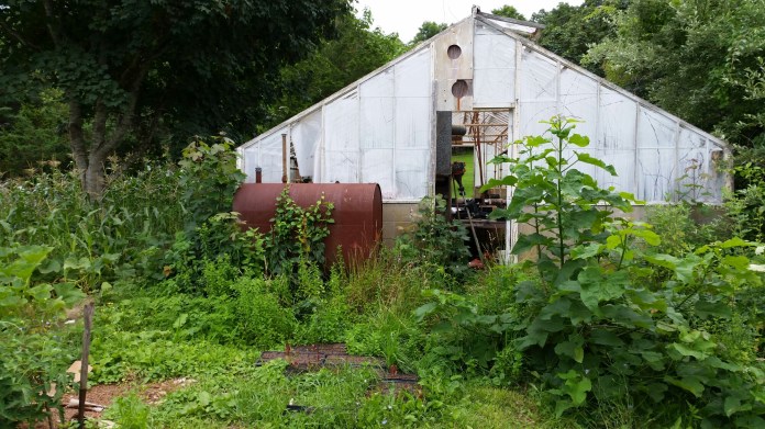 20140727_111311.jpg image