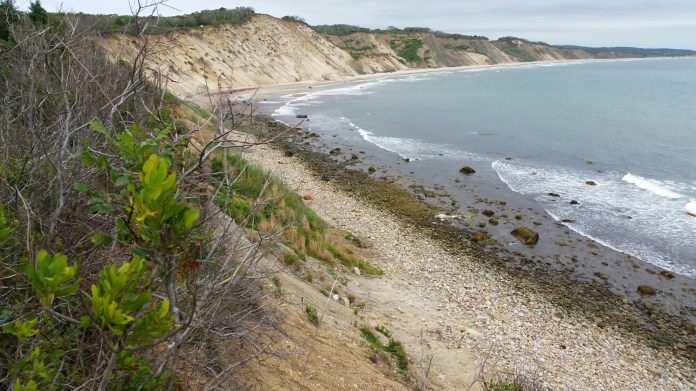 20140727_145442.jpg image