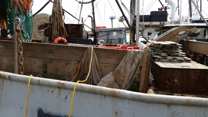 20140727_154359.jpg image