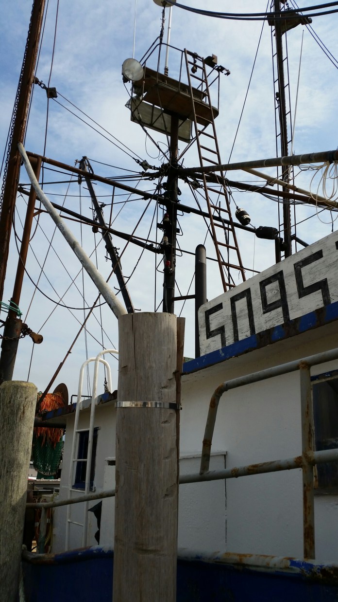 20140727_154601.jpg image