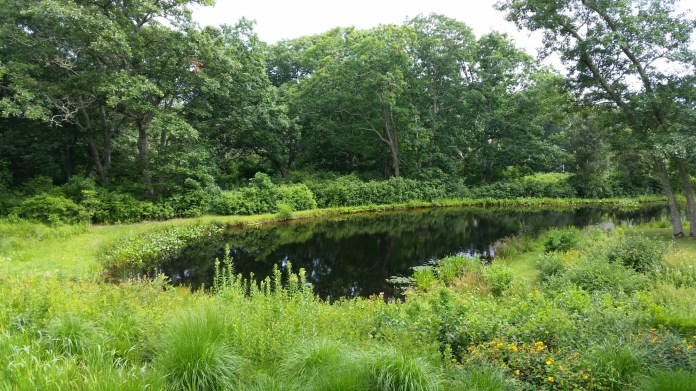 20140728_150949.jpg image