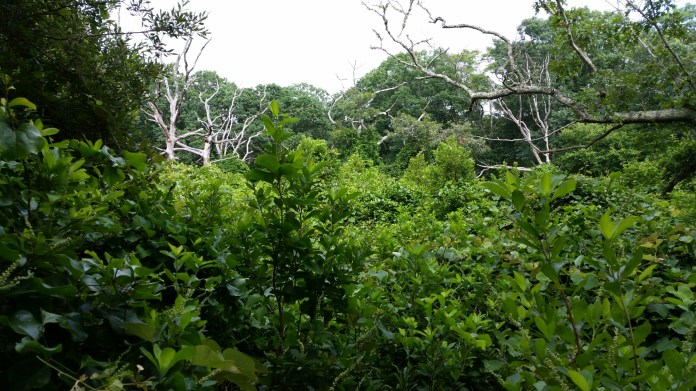 20140728_151647.jpg image