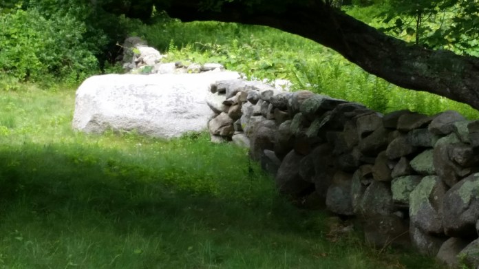 20140728_152330.jpg image