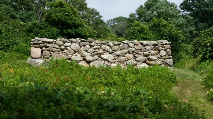 20140728_153754.jpg image