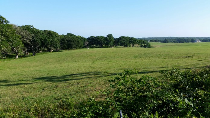 20140728_175341.jpg image