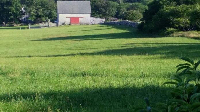 20140728_181126.jpg image