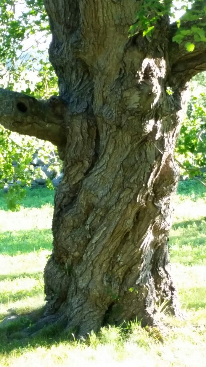 20140728_181824.jpg image