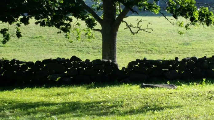 20140728_182023.jpg image