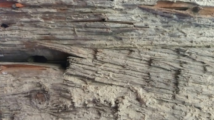 20140729_134406.jpg image