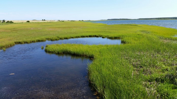 20140729_160536.jpg image