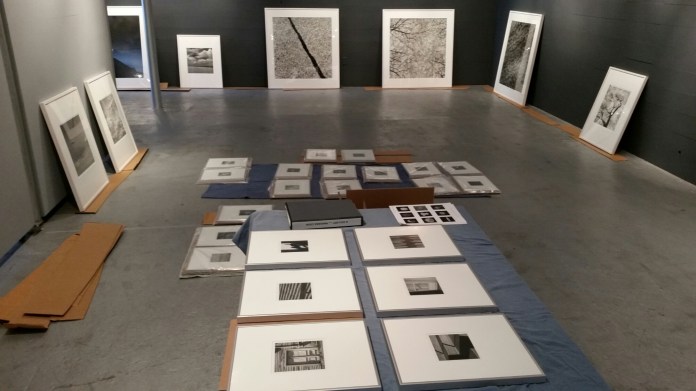 20140801_114718.jpg image