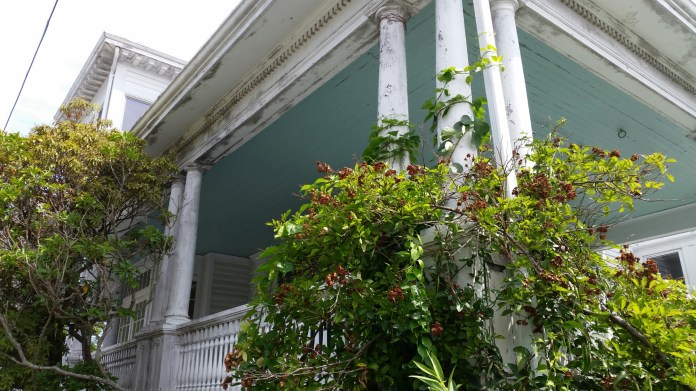 20140806_111205.jpg image