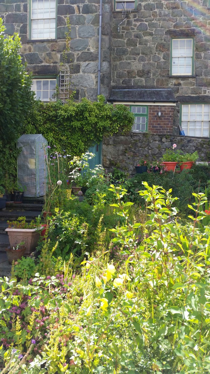 20140822_115538.jpg image