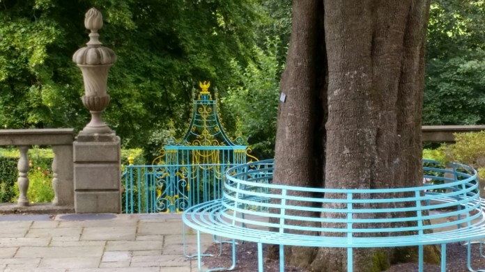 20140822_130624.jpg image