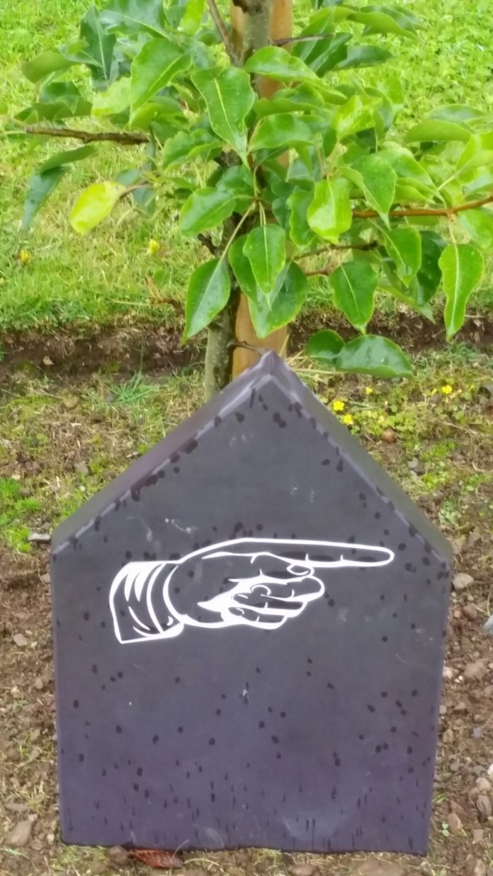 20140825_131609.jpg image