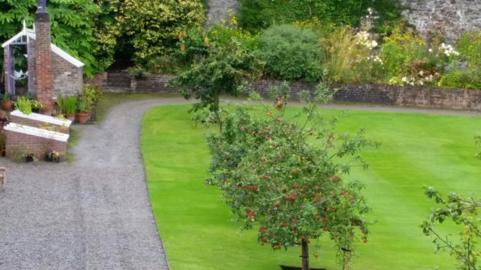 20140825_132246.jpg image