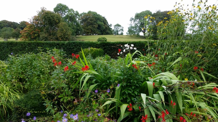 20140825_132922.jpg image