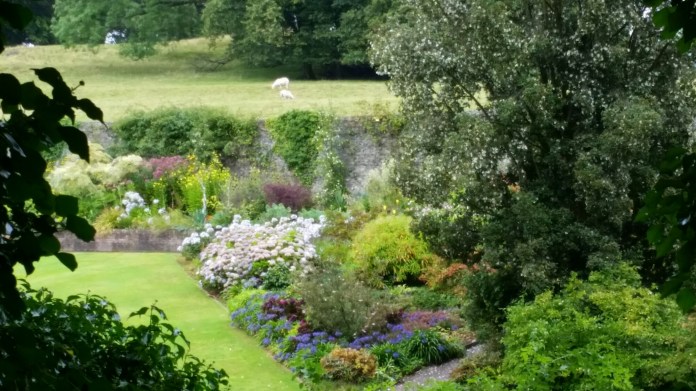 20140825_134351.jpg image