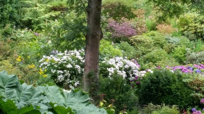 20140825_134433.jpg image