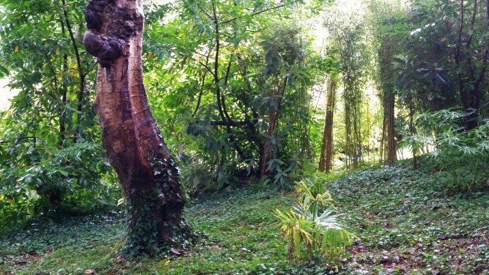 20140825_134753.jpg image