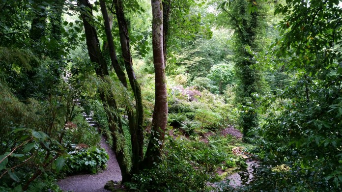 20140825_135121.jpg image