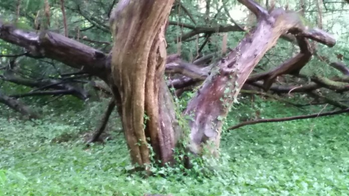 20140825_140958.jpg image