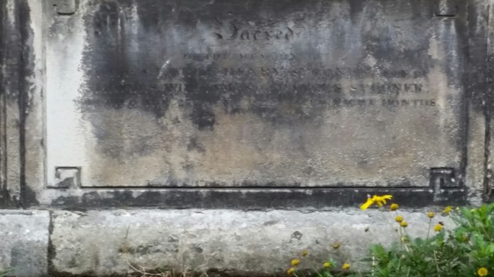 20140831_081611.jpg image