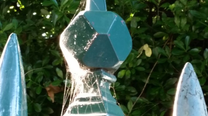 20140831_083404.jpg image