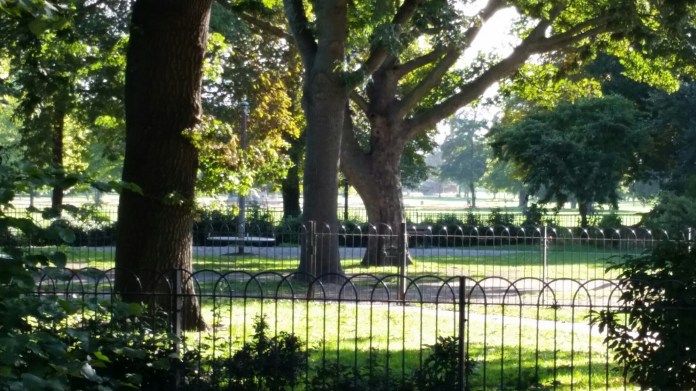 20140831_084916.jpg image