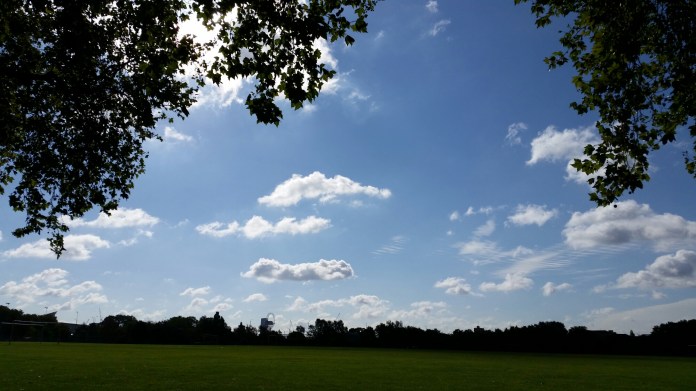 20140831_095800.jpg image