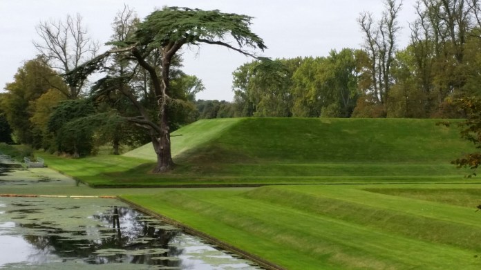 20140927_121818.jpg image