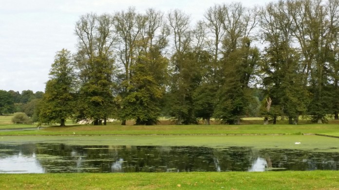 20140927_122159.jpg image