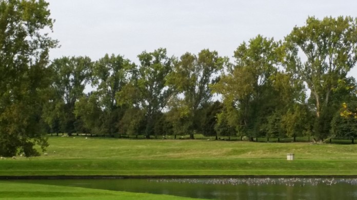 20140927_122236.jpg image