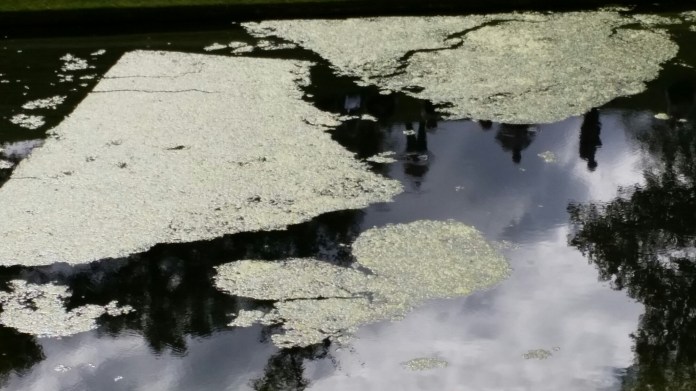 20140927_122255.jpg image