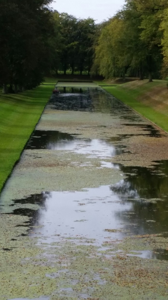 20140927_123954.jpg image